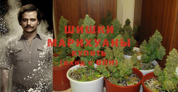 СК Кулебаки