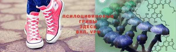 гидра Куйбышев