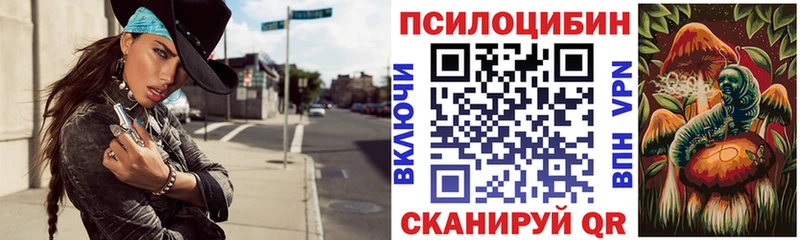 Галлюциногенные грибы Psilocybe  сайты даркнета как зайти  Ачинск 