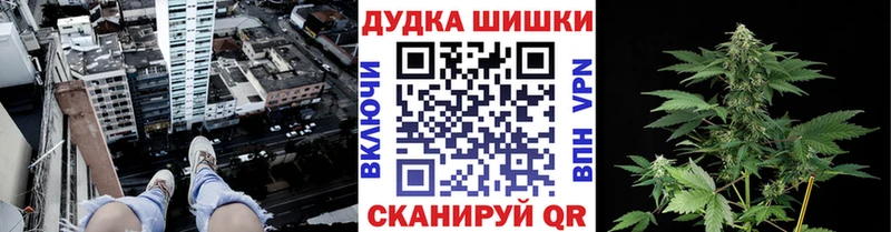 Бошки Шишки ГИДРОПОН  цена   Ачинск 